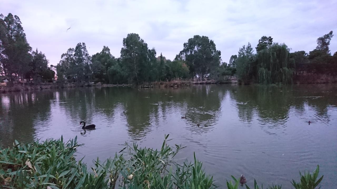 Hostal Restaurante Rufino Берланга Экстерьер фото